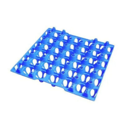 Egg Holder Tray