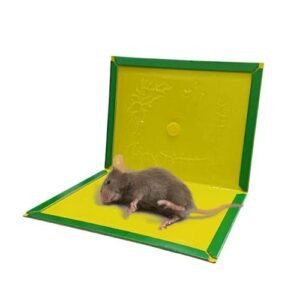 Non-Toxic Sticky Mouse/Rat Stick Glue Board