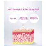 Dr. Rashel White Skin, Skin Whitening Fade Spots Serum ,(50ml). - Image 3