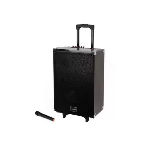 Tagwood LST 10A 12000W Outdoor Speaker System