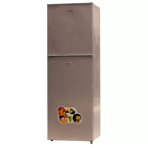 ICECOOL BCD275 275L Double Door Refrigerator