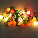 Fruits String Light Decoration