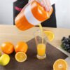 Manual Plastic Juicer - Image 2