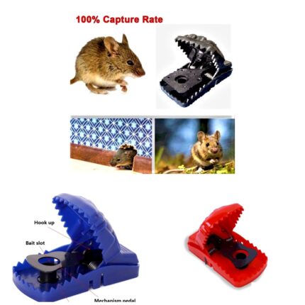 Heavy Duty Bait Snap Mouse Trap