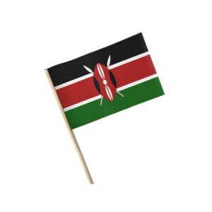 Kenyan Flag
