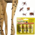 Green Live Fly Catch Trap