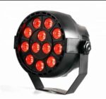 12 LED Parcan Light