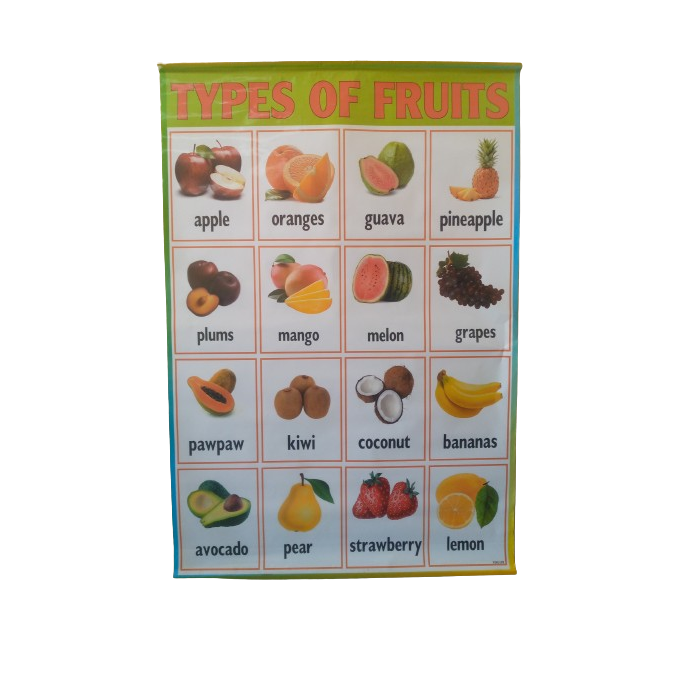 Types of Fruits Educational Wall Chart - Santa Ecommerce