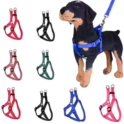Dog Puppies Harness and Walking Leash