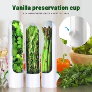 Fresh Herbs Veggies Fridge Storage Container