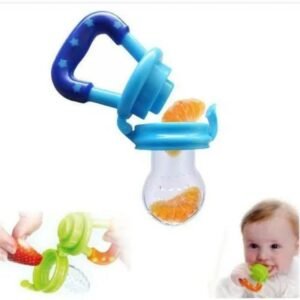 Fruit Feeder Pacifier Baby Teether