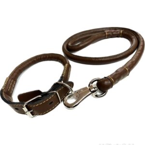 Pleather Collar And Leash