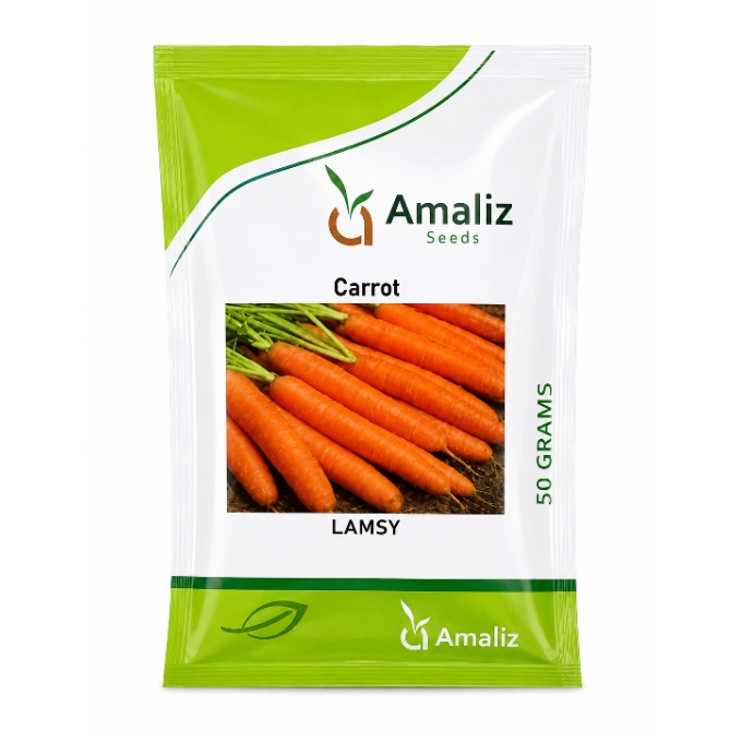 PhotoGrid_Plus_1781797130760 Amaliz Seeds Carrot LAMSY 50g – Premium Carrot Seeds for High-Yield Cultivation - Image 1