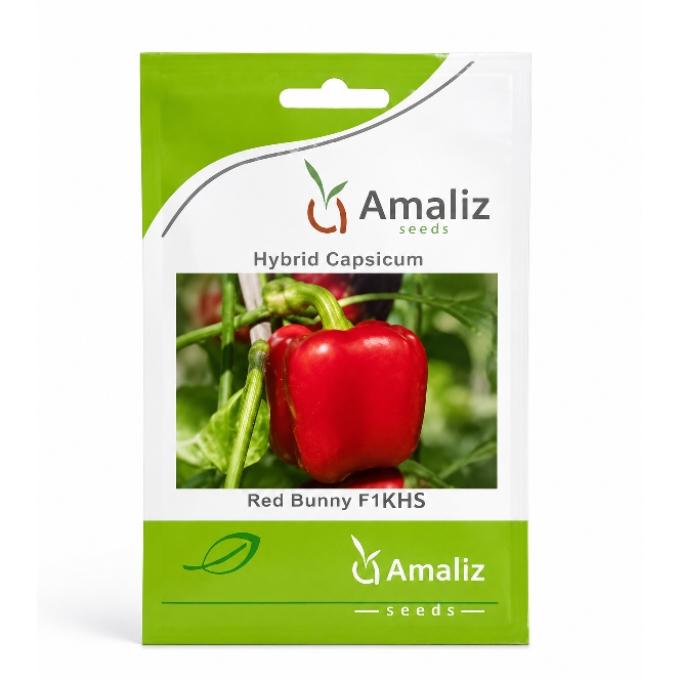PhotoGrid_Plus_1781798169937 Amaliz Hybrid Capsicum Red Bunny F1KHS Seeds - Image 1
