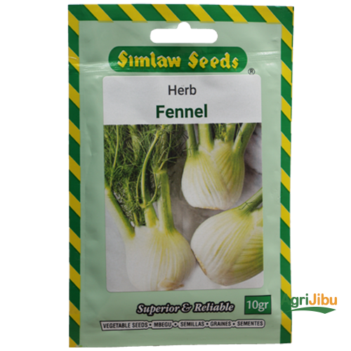 Simlaw-Herb-Fennel Premium Fennel Herb Seeds – 10g Aromatic Vegetable & Herb Garden Pack - Image 1