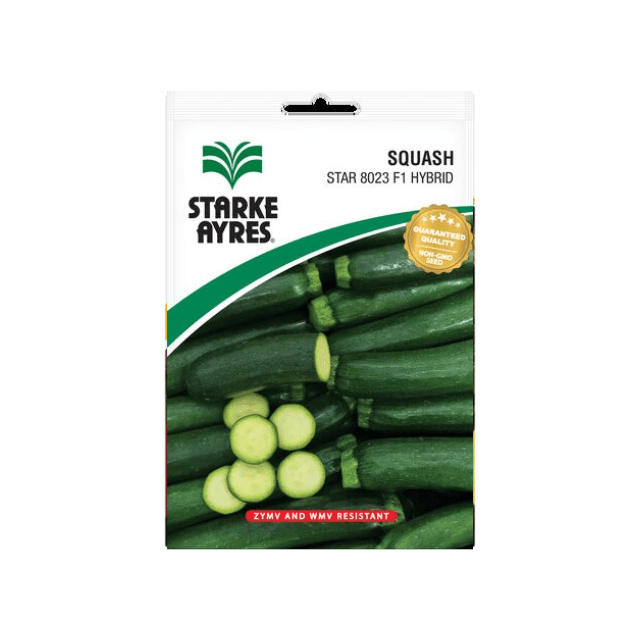 Starke-Ayres-Hybrid-Squash-Star-8023-F1-Hybrid Starke Ayres - Image 1