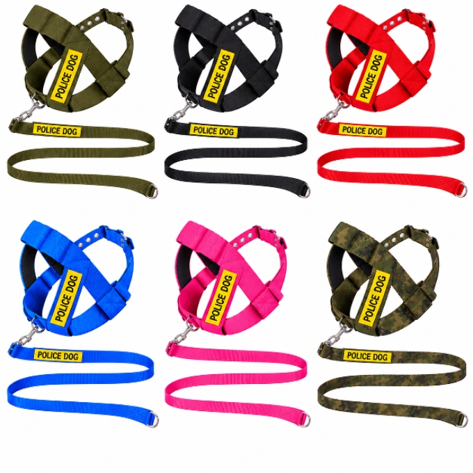 WhatsApp Image 2026-10-12 at 11.49.29 AM Adjustable Heavy-Duty K9 Police Dog Nylon Leash - Image 1